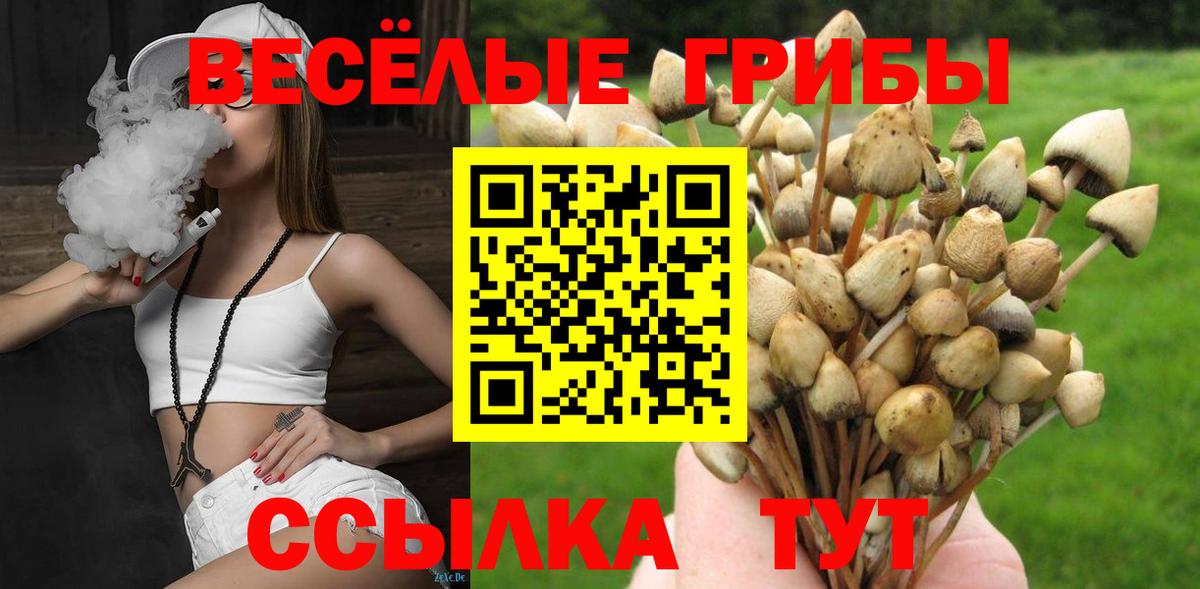 Заводоуковск  Галлюциногенные грибы ЛСД  купить закладку  Вход с VPN 