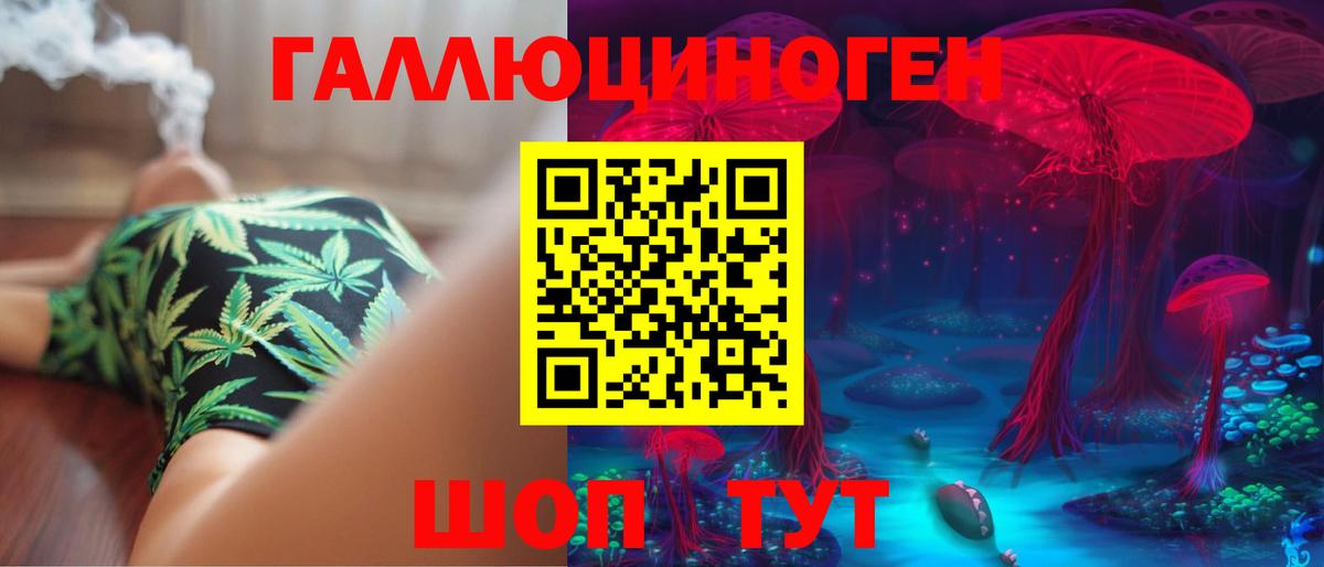 Галлюциногенные грибы Psilocybe Заводоуковск